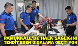 Pamukkale'de Halk Sağlığını Tehdit Eden Gıdalara Geçit Yok