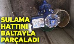 Sulama Hattını Baltayla Parçaladı