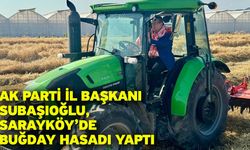 AK Parti İl Başkanı Subaşıoğlu, Sarayköy’de buğday hasadı yaptı