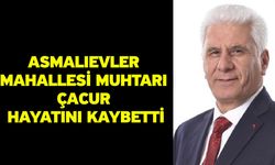 Asmalıevler Mahallesi Muhtarı Çacur hayatını kaybetti