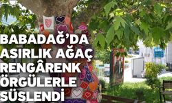 Babadağ’da asırlık ağaç rengârenk örgülerle süslendi