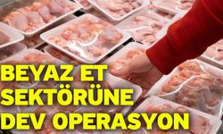 Beyaz et sektörüne dev operasyon