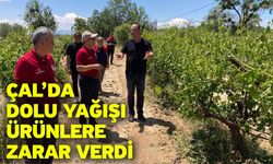 Çal’da dolu yağışı ürünlere zarar verdi