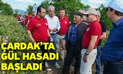 Çardak’ta gül hasadı başladı