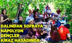 Dalından Sofraya Napolyon Gençler Kiraz Hasadında