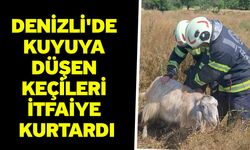 Denizli'de kuyuya düşen keçileri itfaiye kurtardı