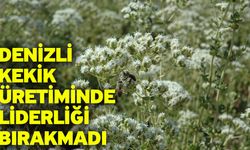 Denizli Kekik Üretiminde Liderliği Bırakmadı