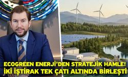 Ecogreen Enerji’den Stratejik Hamle! İki İştirak Tek Çatı Altında Birleşti