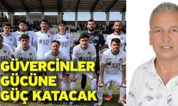 Güvercinler gücüne güç katacak