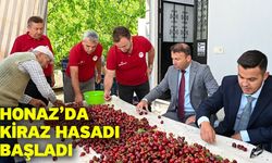 Honaz’da kiraz hasadı başladı