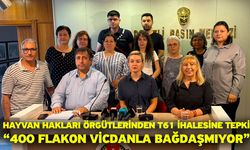 Hayvan hakları örgütlerinden T61 ihalesine tepki “400 flakon vicdanla bağdaşmıyor”