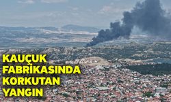 Kauçuk fabrikasında korkutan yangın