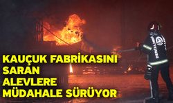 Kauçuk fabrikasını saran alevlere müdahale sürüyor