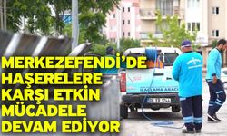 Merkezefendi’de haşerelere karşı etkin mücadele devam ediyor