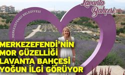 Merkezefendi’nin Mor Güzelliği Lavanta Bahçesi Yoğun İlgi Görüyor