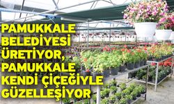 Pamukkale Belediyesi Üretiyor, Pamukkale Kendi Çiçeğiyle Güzelleşiyor