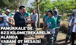 Pamukkale’de 823 Kilometrekarelik Alanda Yabani Ot Mesaisi