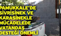 Pamukkale’de Sivrisinek Ve Karasinekle Mücadelede Vatandaş Desteği Önemli