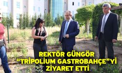 Rektör Güngör “Tripolium GastroBahçe”yi Ziyaret Etti