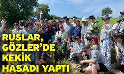 Ruslar, Gözler’de kekik hasadı yaptı