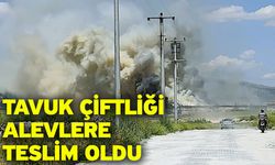 Tavuk çiftliği alevlere teslim oldu