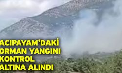Acıpayam’daki orman yangını kontrol altına alındı