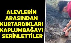 Alevlerin arasından kurtardıkları kaplumbağayı serinlettiler
