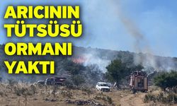 Arıcının tütsüsü ormanı yaktı