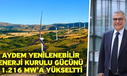 Aydem Yenilenebilir Enerji Kurulu Gücünü 1.216 MW’a Yükseltti