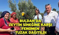 Buldan’da zeytin sineğine karşı fenomen tuzak dağıtıldı
