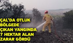 Çal’da otluk bölgede çıkan yangında 7 hektar alan zarar gördü