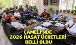 Çameli'nde 2026 Hasat Ücretleri Belli Oldu