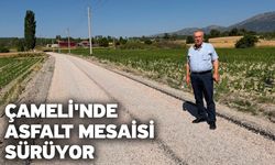 Çameli'nde Asfalt Mesaisi Sürüyor