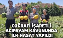 Coğrafi işaretli Acıpayam kavununda ilk hasat yapıldı