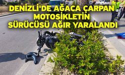 Denizli'de ağaca çarpan motosikletin sürücüsü ağır yaralandı