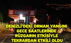Denizli'deki orman yangını gece saatlerinde rüzgarın etkisiyle tekrardan etkili oldu