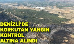 Denizli'de korkutan yangın kontrol altına alındı