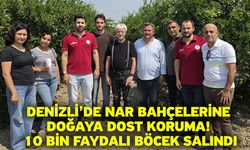 Denizli’de Nar Bahçelerine Doğaya Dost Koruma! 10 Bin Faydalı Böcek Salındı