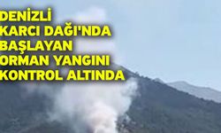 Denizli Karcı Dağı'nda başlayan orman yangını kontrol altında