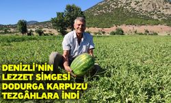 Denizli’nin lezzet simgesi Dodurga Karpuzu tezgâhlara indi