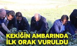 Kekiğin ambarında ilk orak vuruldu