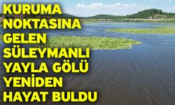 Kuruma noktasına gelen Süleymanlı Yayla Gölü yeniden hayat buldu