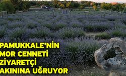 Pamukkale'nin mor cenneti ziyaretçi akınına uğruyor