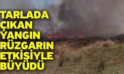 Tarlada çıkan yangın rüzgarın etkisiyle büyüdü