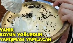 Yanık Koyun Yoğurdun Yarışması Yapılacak