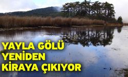 Yayla Gölü yeniden kiraya çıkıyor
