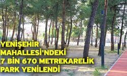 Doğal dokusu korundu