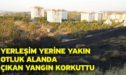 Yerleşim yerine yakın otluk alanda çıkan yangın korkuttu