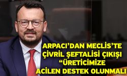 Arpacı’dan Meclis’te Çivril şeftalisi çıkışı “Üreticimize acilen destek olunmalı”
