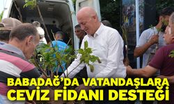 Babadağ’da Vatandaşlara Ceviz Fidanı Desteği